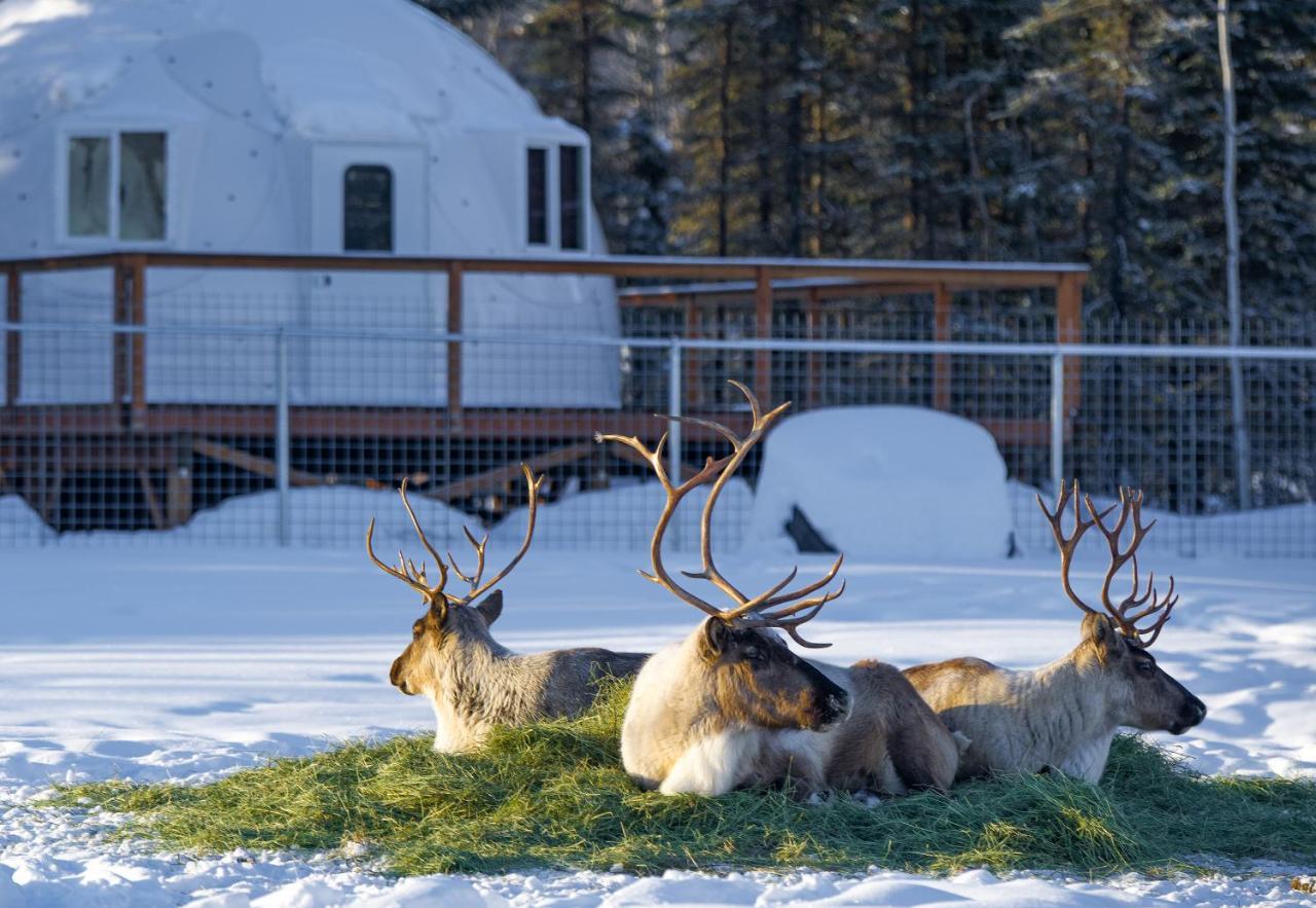 Pleasant Acres Reindeer Ranch Villa Pleasant Valley Buitenkant foto